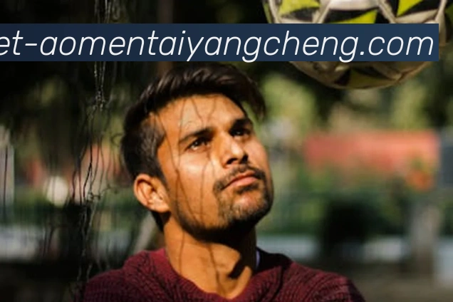 太阳城网站平台生态图